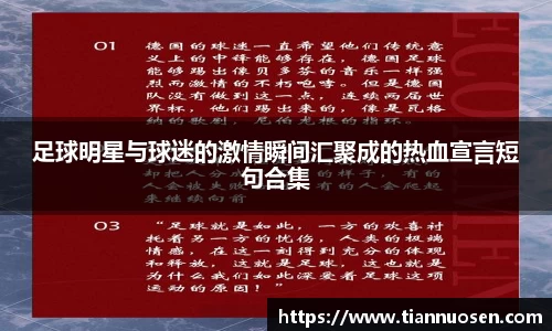 足球明星与球迷的激情瞬间汇聚成的热血宣言短句合集